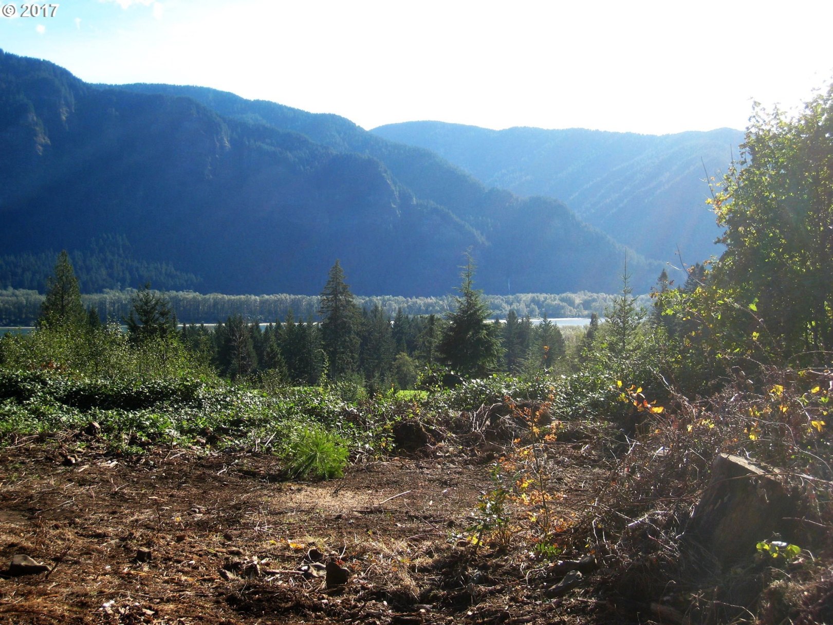 304 Duncan Creek Road Stevenson, WA 98648 - Photo 3 of 11 Gallery Image 3