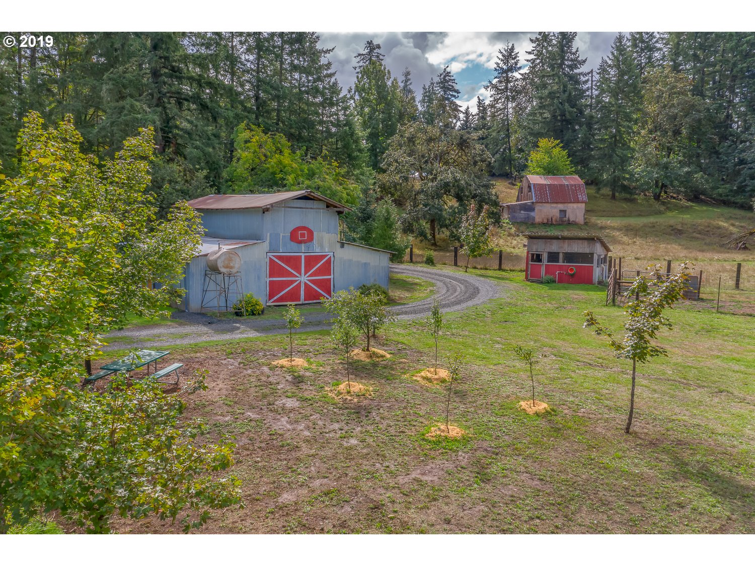 83570 Rattlesnake Road Dexter, OR 97431 - Photo 5 of 32
