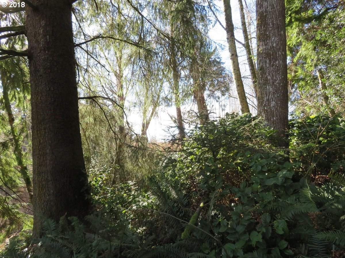 Ranta Rd Bend South Bend, WA 98586 - Photo 22 of 32 Gallery Image 22