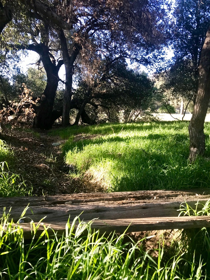 36064 Montezuma Valley Road Ranchita, CA 92066 - Photo 19 of 25