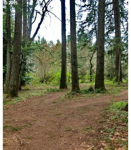 0 Southwest Labrousse Road, Unit 4 Sherwood, OR 97140 - Photo 4 of 8
