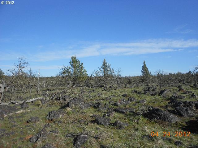Log Cabin Road Goldendale, WA 98620 - Photo 3 of 16 Gallery Image 3
