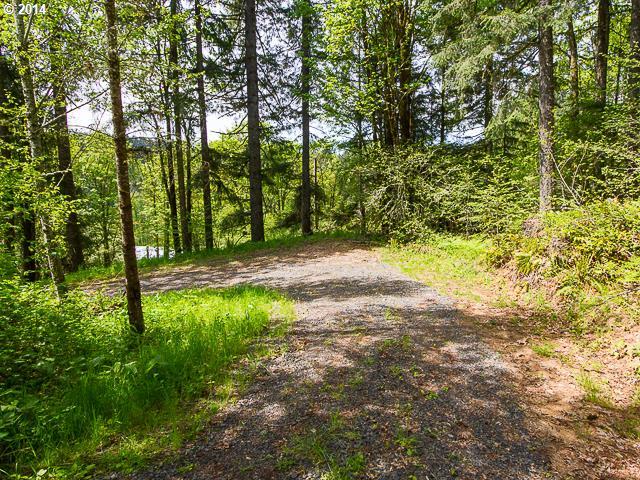 Northwest Davidson Road Banks, OR 97106 - Photo 4 of 16 Gallery Image 4