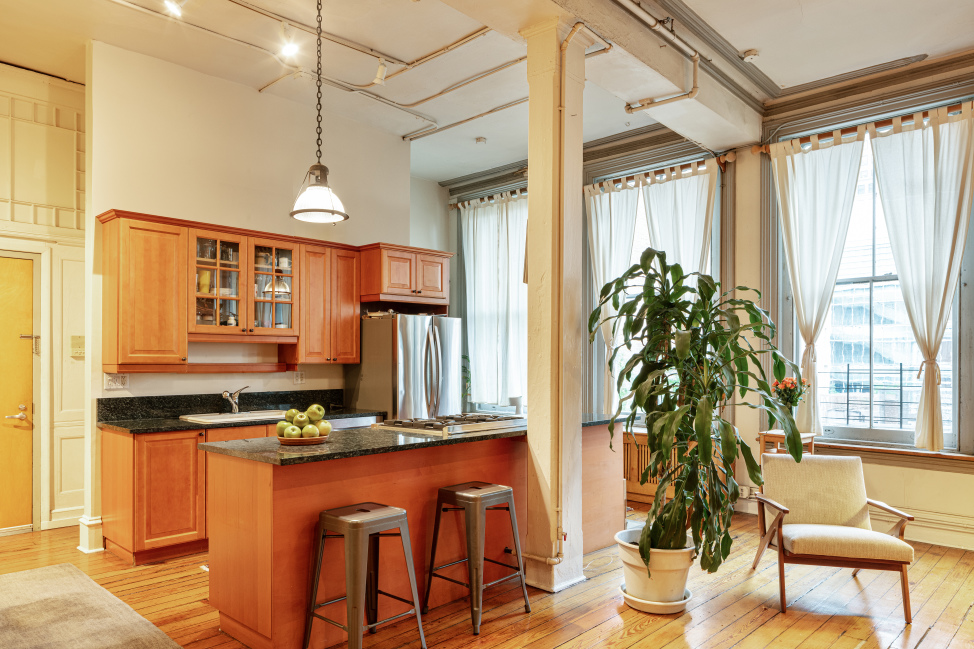 116 Franklin Street, Unit 3 Manhattan, NY 10013 - Photo 3 of 5