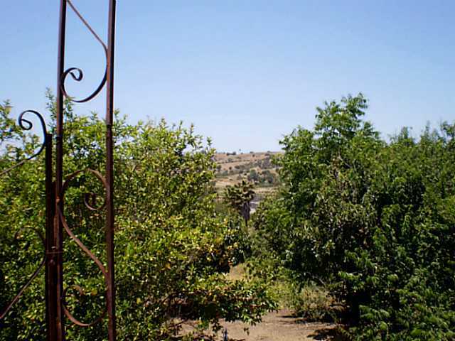 1130 Ranger Road Fallbrook, CA 92028 - Photo 15 of 22