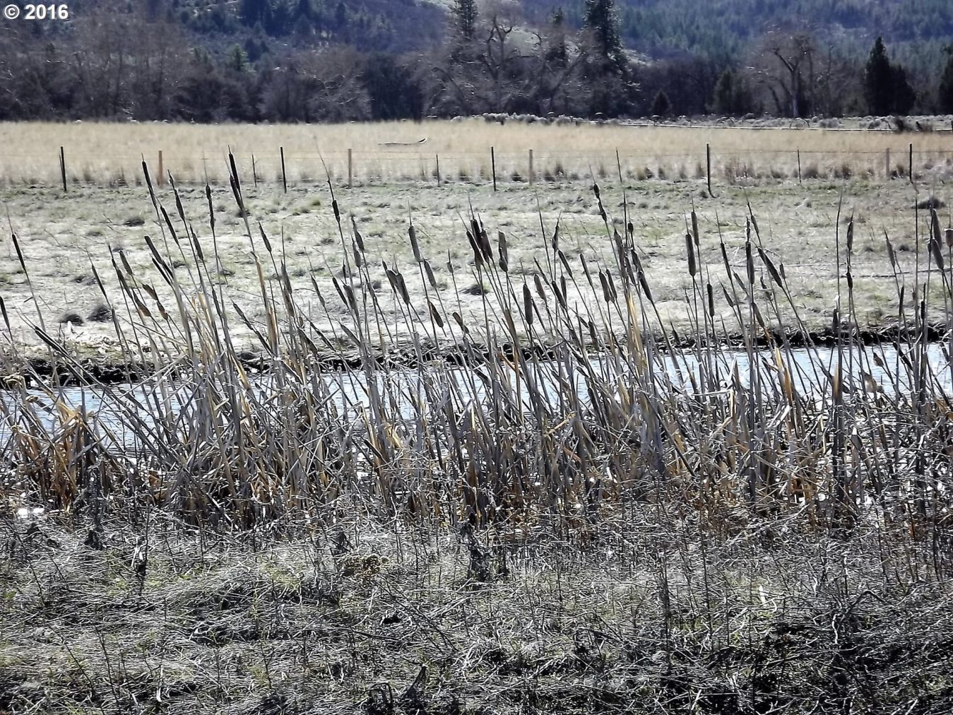 Walters Road Maupin, OR 97037 - Photo 20 of 24 Gallery Image 20