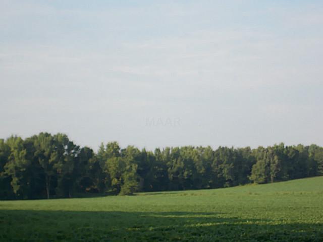 0 South Liberty Road Michie, TN 38357 - Photo 2 of 15 Tree Line Photo