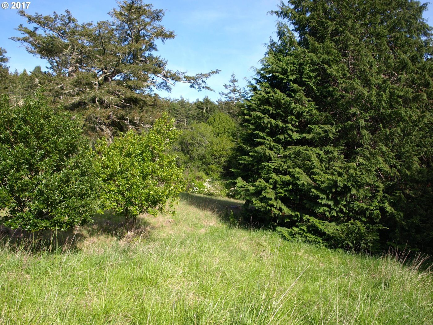 Indian Hills Road Gold Beach, OR 97444 - Photo 21 of 24