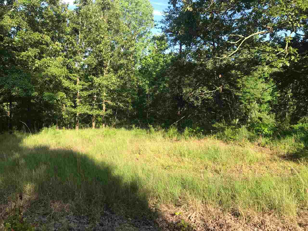 95-117 Meeks Road Adamsville, TN 38310 - Photo 8 of 12