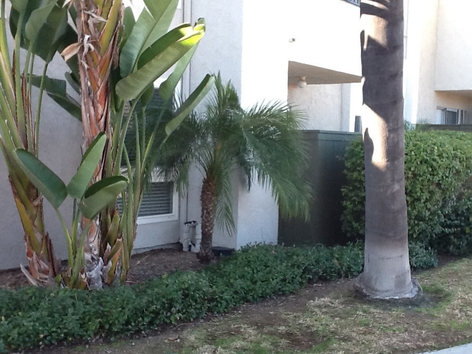 3571 Ruffin Road, Unit 138 San Diego, CA 92123 - Photo 1 of 15 Gallery Image 1