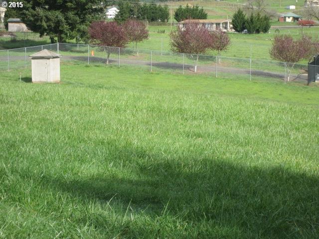 378 Moon Hill Road Tenmile, OR 97481 - Photo 12 of 13