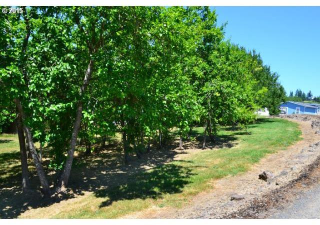 1910 Cloverdale Road Kalama, WA 98625 - Photo 16 of 16 Gallery Image 16