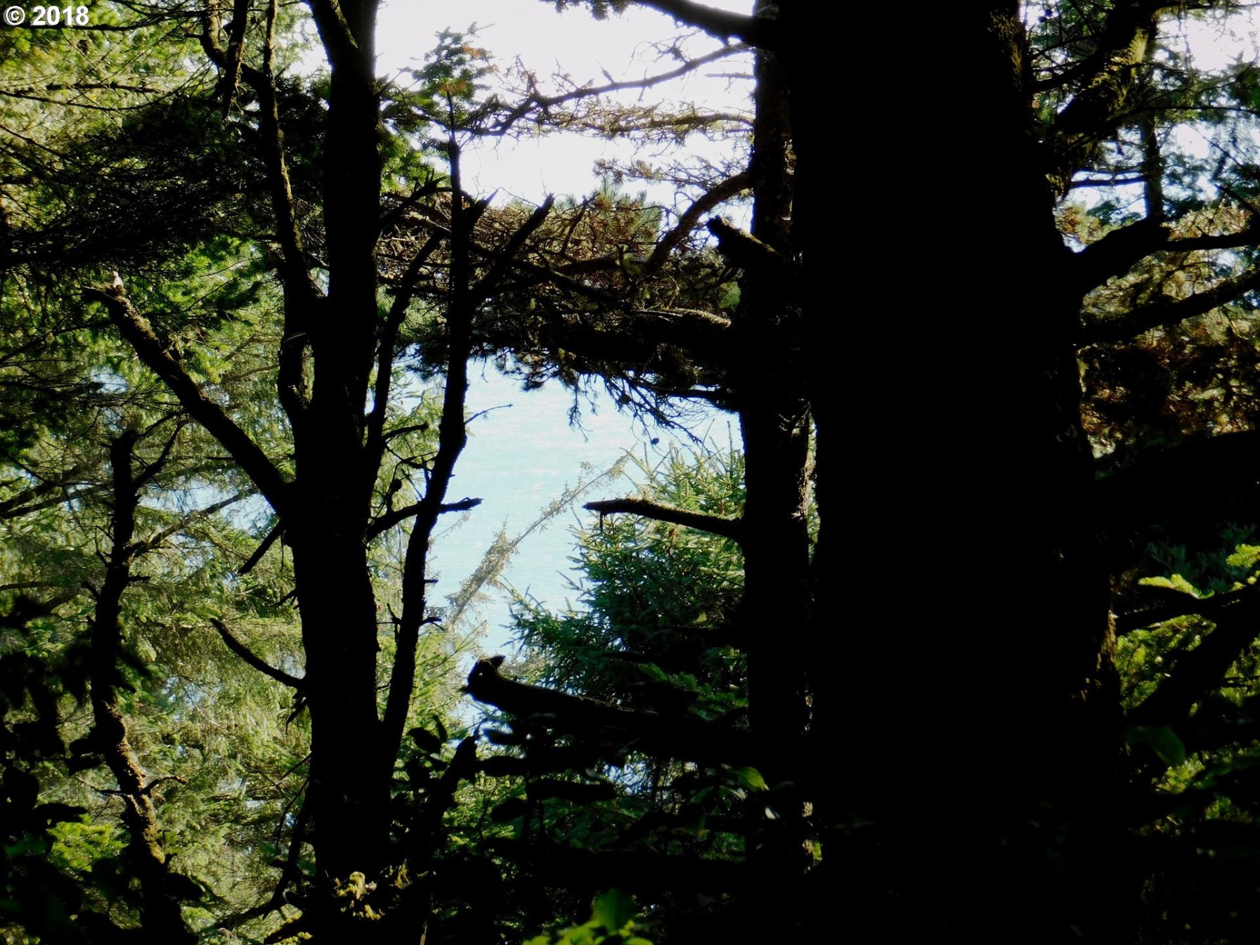 0 Cemetery Loop Road Port Orford, OR 97465 - Photo 11 of 12 Gallery Image 11