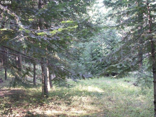 Frontier Road, Unit 3 Appleton, WA 98602 - Photo 1 of 6 Gallery Image 1