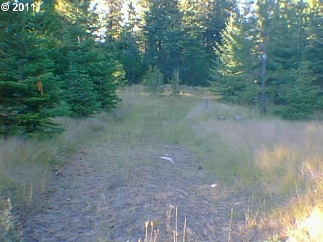 Tucker Down Road Joseph, OR 97846 - Photo 1 of 4
