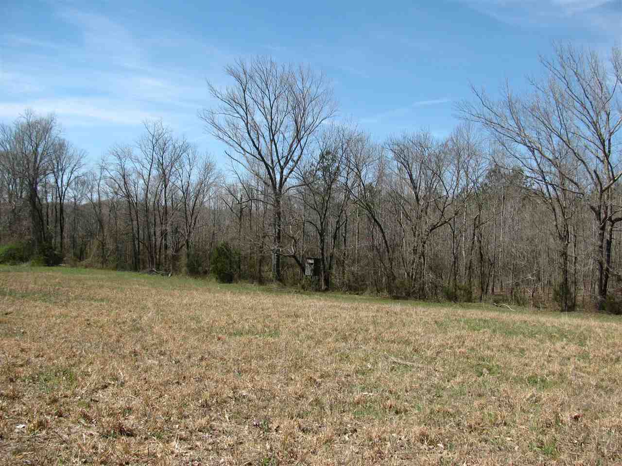 3072 Center Point Road South Reagan, TN 38368 - Photo 3 of 24