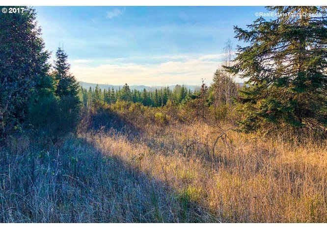 0 Southwest Patton Valley Road, Unit 300 Gaston, OR 97119 - Photo 4 of 14