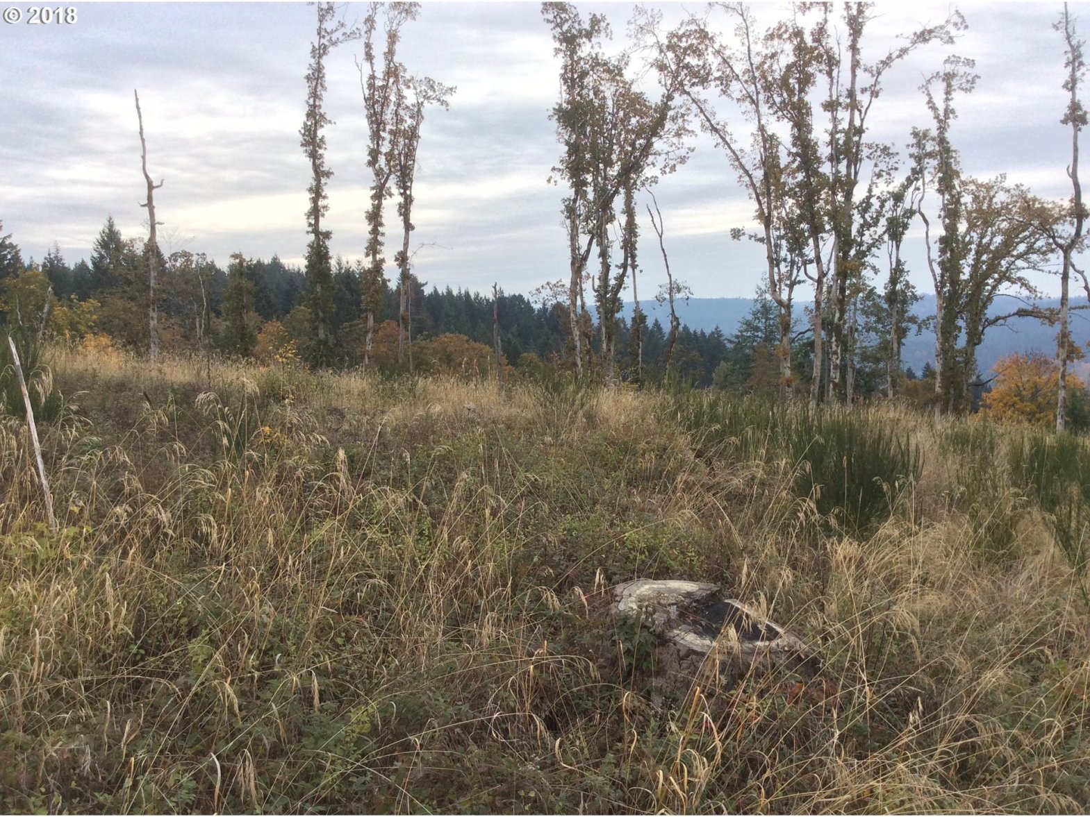 17777 South Ramsby Road Molalla, OR 97038 - Photo 23 of 32 Gallery Image 23