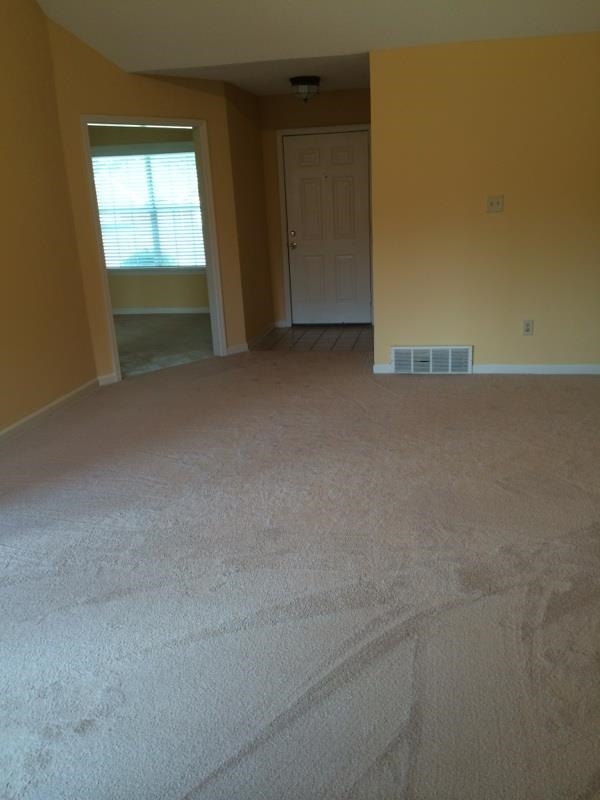 1509 Wolf Ridge Drive Collierville, TN 38017 - Photo 13 of 22