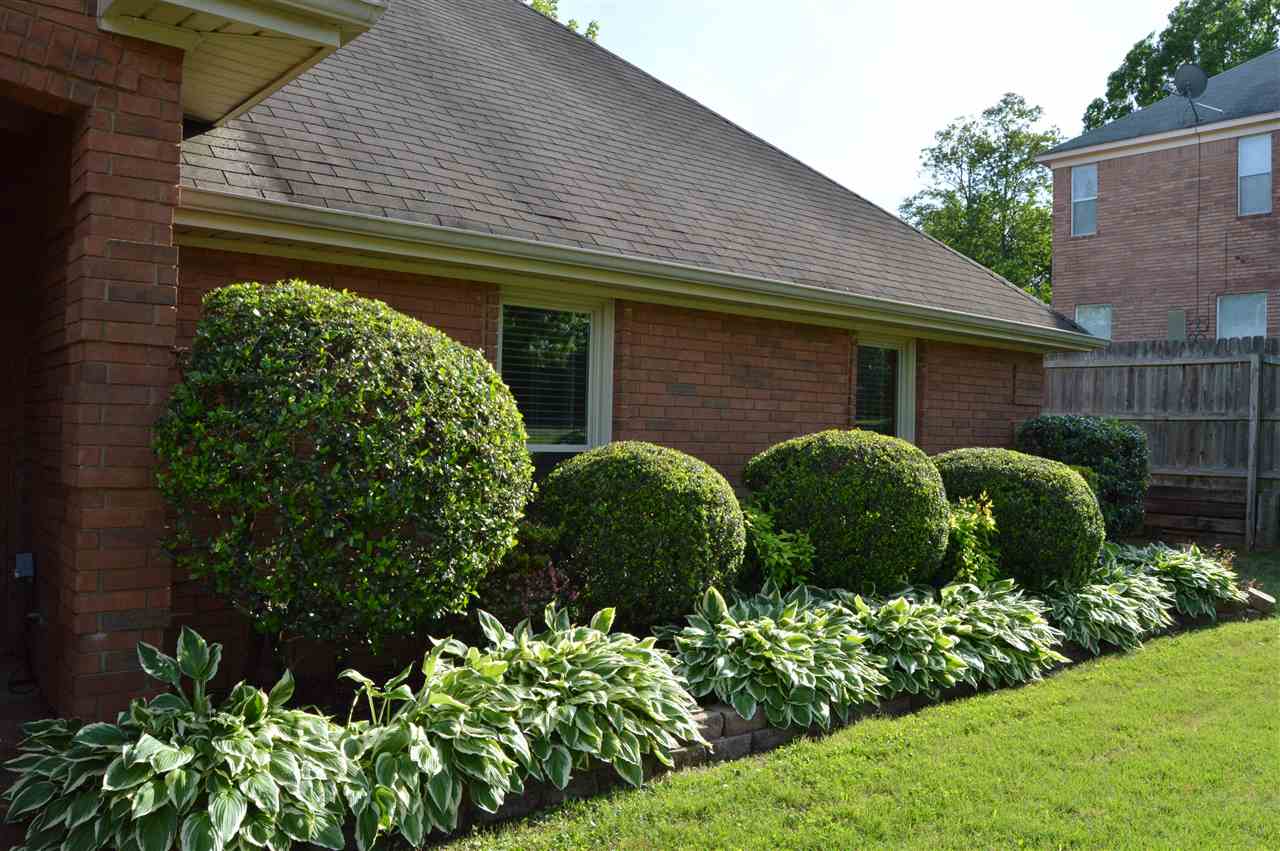 7967 CD Smith Road Germantown, TN 38138 - Photo 2 of 25 Gallery Image 2