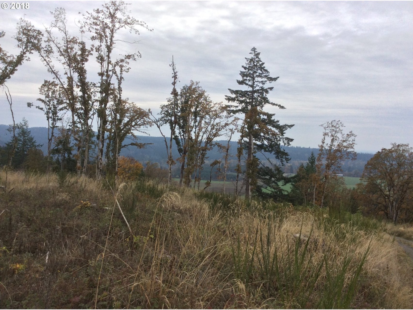 17777 South Ramsby Road Molalla, OR 97038 - Photo 22 of 32 Gallery Image 22