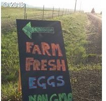54 Van Hoy Road Goldendale, WA 98620 - Photo 1 of 29 Gallery Image 1