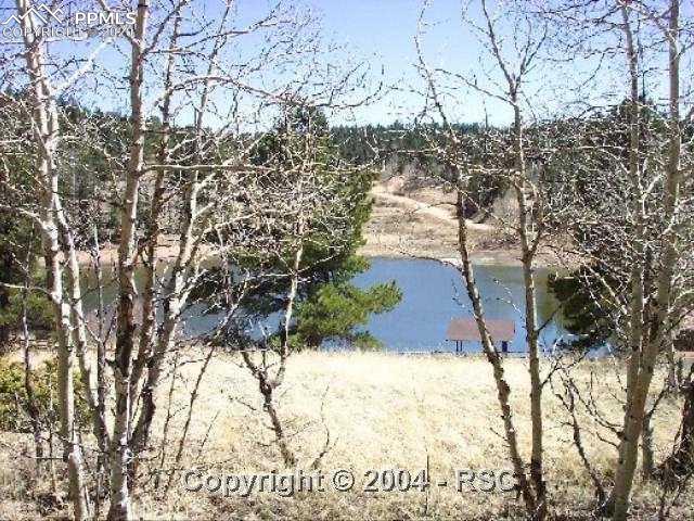 217 Arrowhead Road Florissant, CO 80816 - Photo 1 of 1 Gallery Image 1