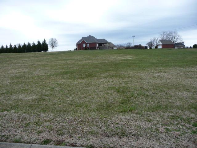 30 Glennridge Road Columbia, TN 38401 - Photo 2 of 4 Gallery Image 2