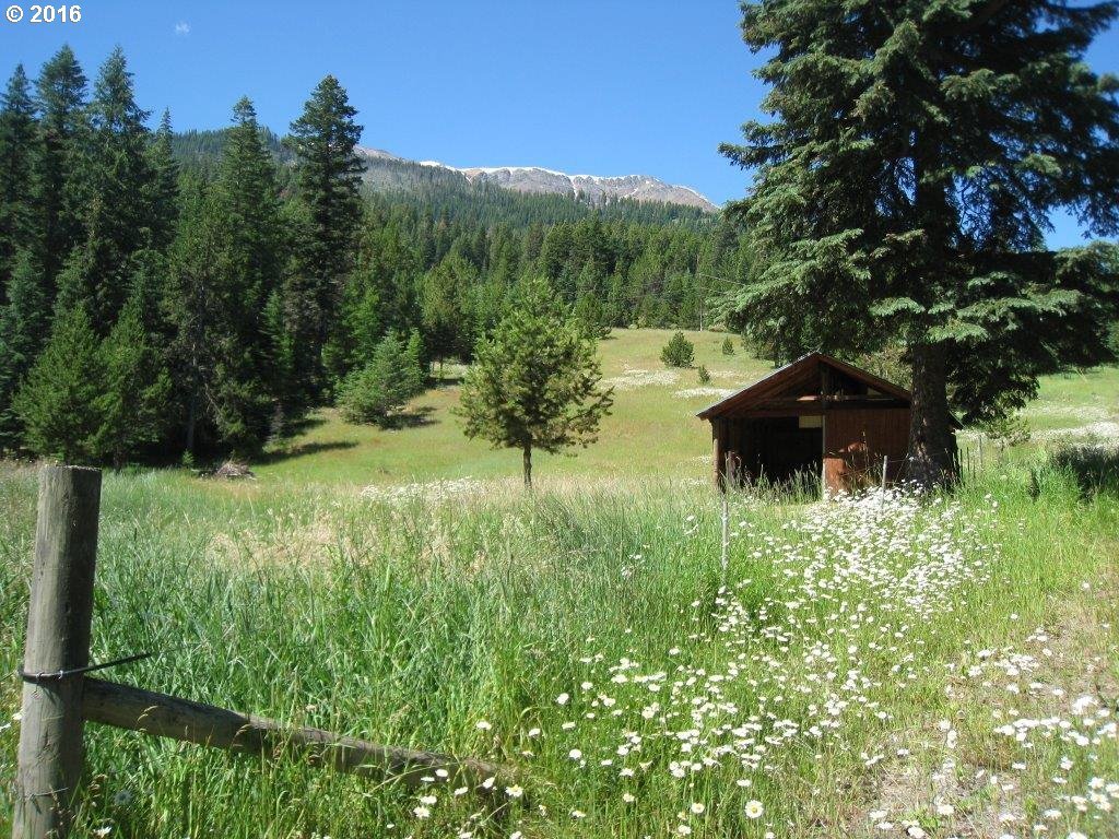 61099 Old Ski Run Road Joseph, OR 97846 - Photo 1 of 17 Gallery Image 1