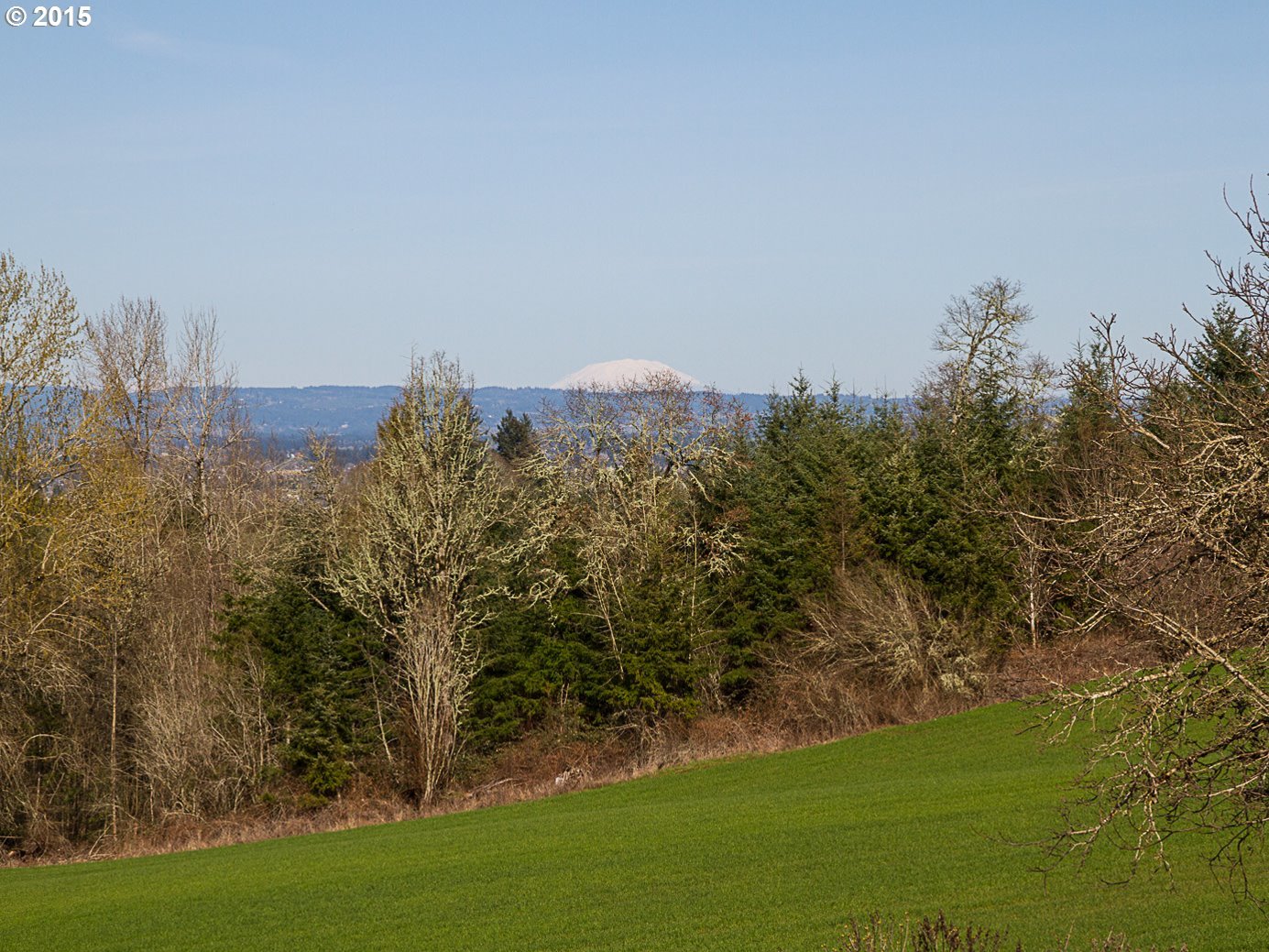 6000 Southwest Winters Road Cornelius, OR 97113 - Photo 29 of 32
