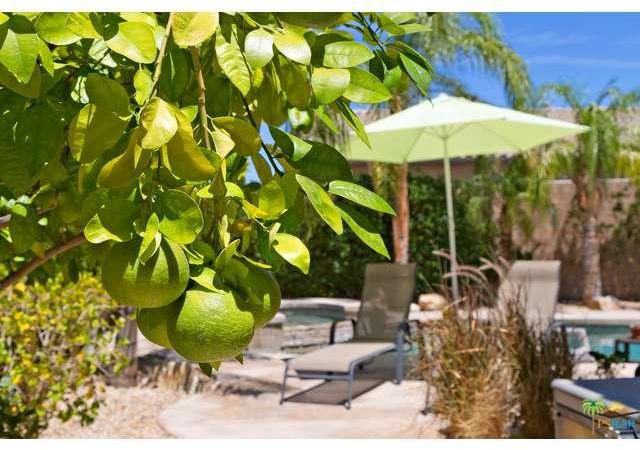 914 Alta Ridge Palm Springs, CA 92262 - Photo 14 of 30