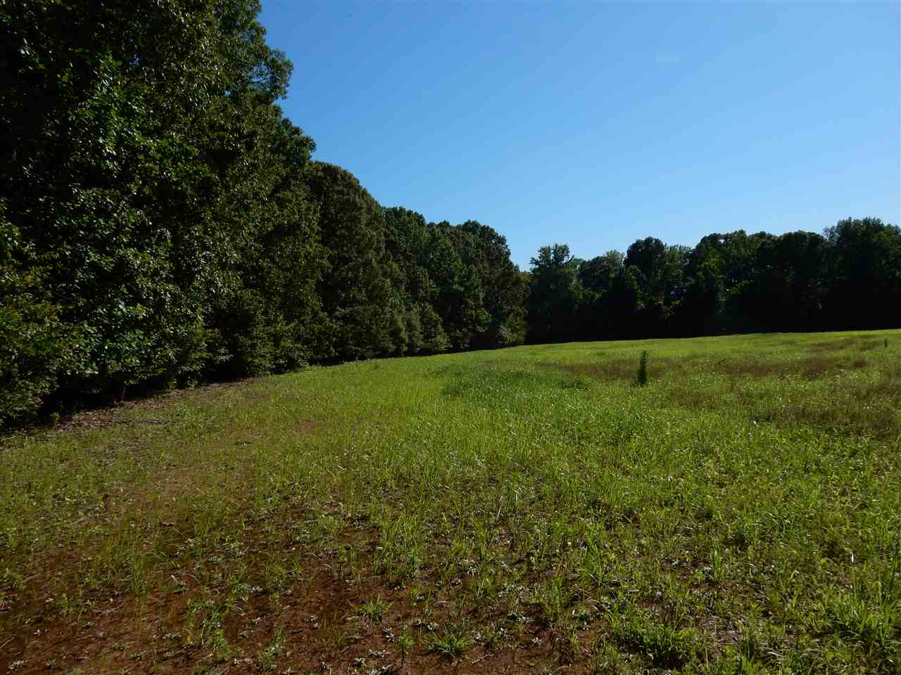 0 Lagrange Road North La Grange, TN 38057 - Photo 10 of 14 Gallery Image 10
