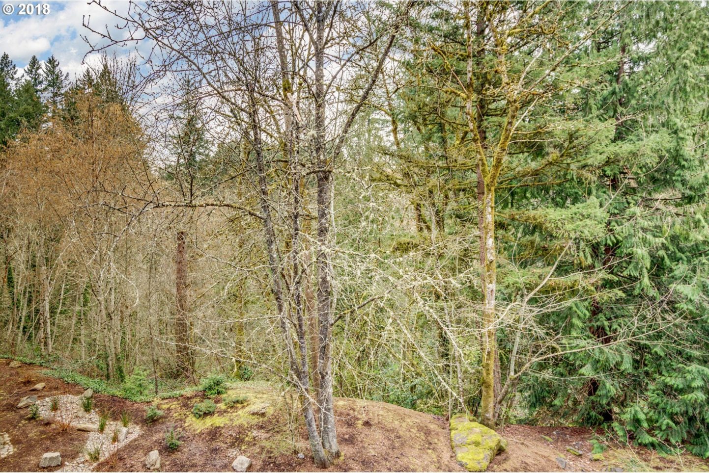 5142 Southwest Multnomah Boulevard Portland, OR 97219 - Photo 9 of 22 Gallery Image 9