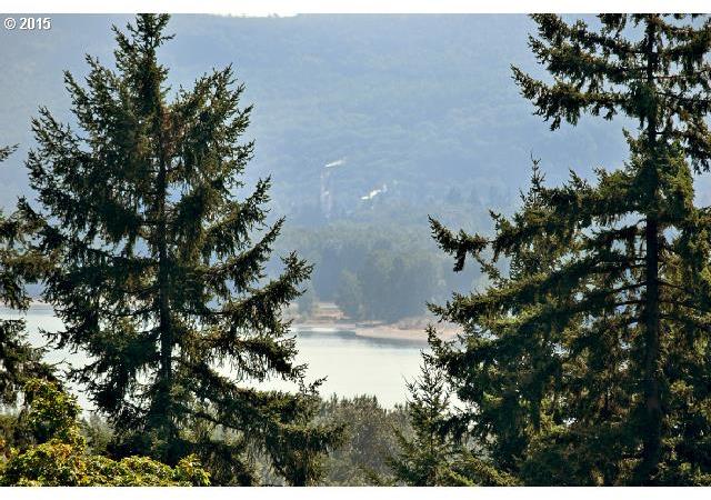 259 Large Road Kalama, WA 98625 - Photo 12 of 23 Gallery Image 12