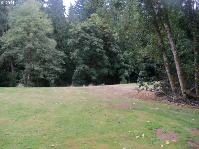 251 Kilkelly Road Kalama, WA 98625 - Photo 9 of 10