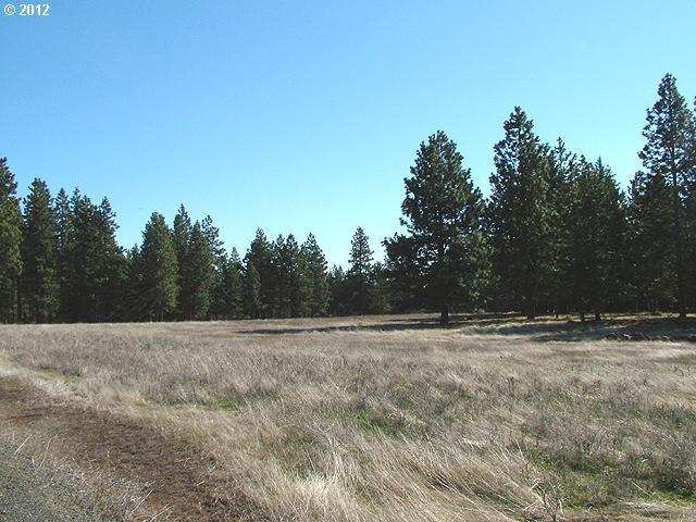 Austin Road Goldendale, WA 98620 - Photo 14 of 15 Gallery Image 14