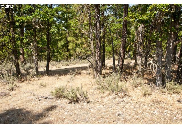 Bernhard Road, Unit 2 Goldendale, WA 98620 - Photo 3 of 6 Gallery Image 3