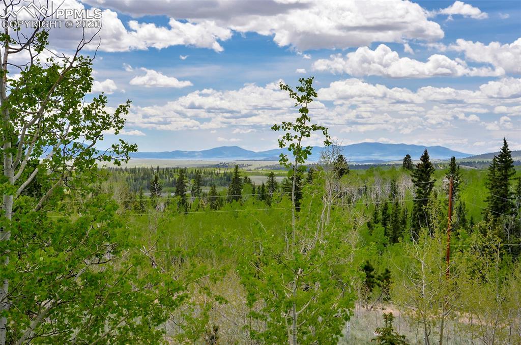 259 Falcon Road Como, CO 80432 - Photo 2 of 40