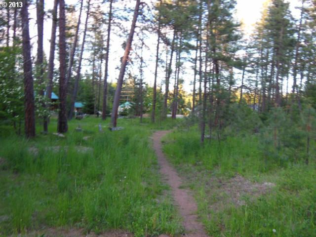 5 Park Road Trout Lake, WA 98650 - Photo 3 of 6 Gallery Image 3