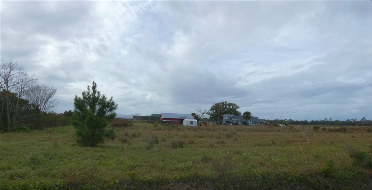 7205 Dilly Burrell Road Hastings, FL 32145 - Photo 43 of 50 Gallery Image 43
