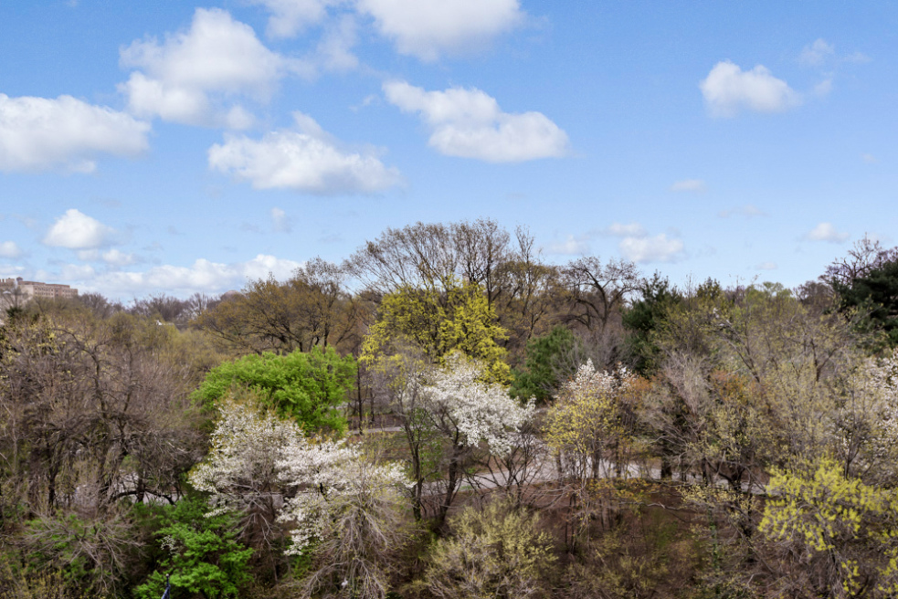 9 Prospect Park West, Unit 7A Brooklyn, NY 11215 - Photo 9 of 11