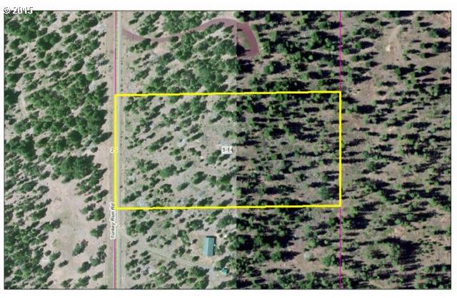 Turkey Run Road Goldendale, WA 98620 - Photo 10 of 12 Gallery Image 10