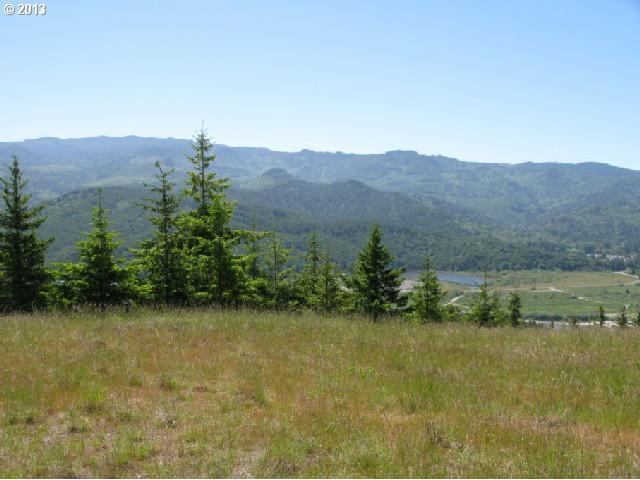 95540 Spirit Ridge Road Gold Beach, OR 97444 - Photo 4 of 16