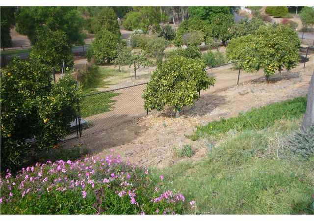 1741 Premier Street Fallbrook, CA 92028 - Photo 15 of 25 Side-Yard goes to 2nd fencing with family grove in between.