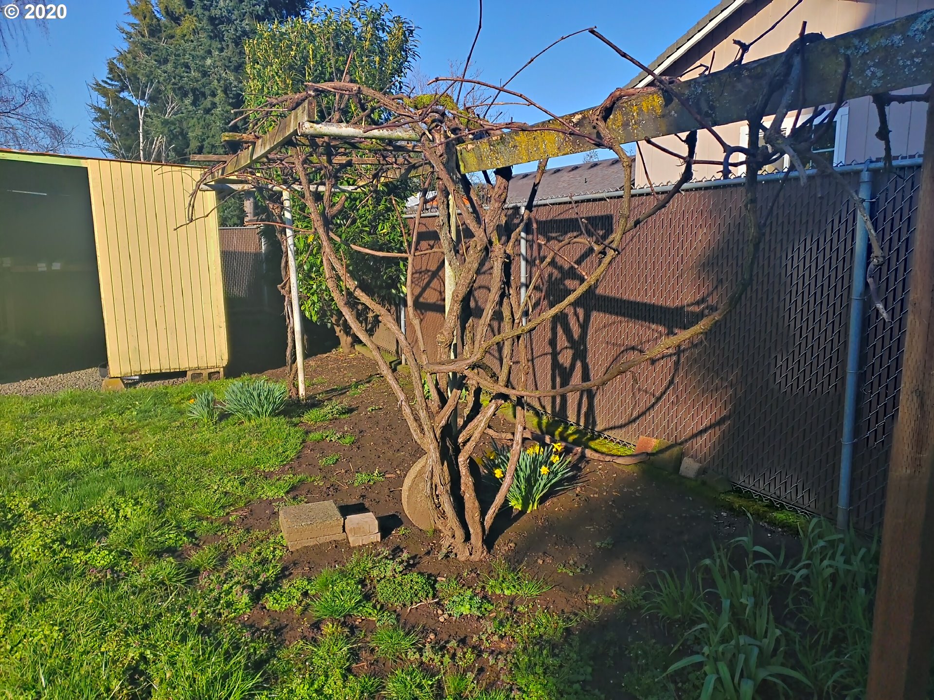 1935 7th Street Springfield, OR 97477 - Photo 20 of 22