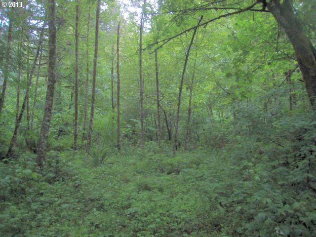 21 Cougar Creek Road Stevenson, WA 98648 - Photo 2 of 10 Gallery Image 2