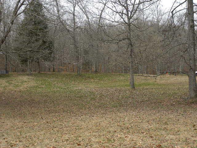196 Hooper Road Hohenwald, TN 38462 - Photo 6 of 21 Gallery Image 6