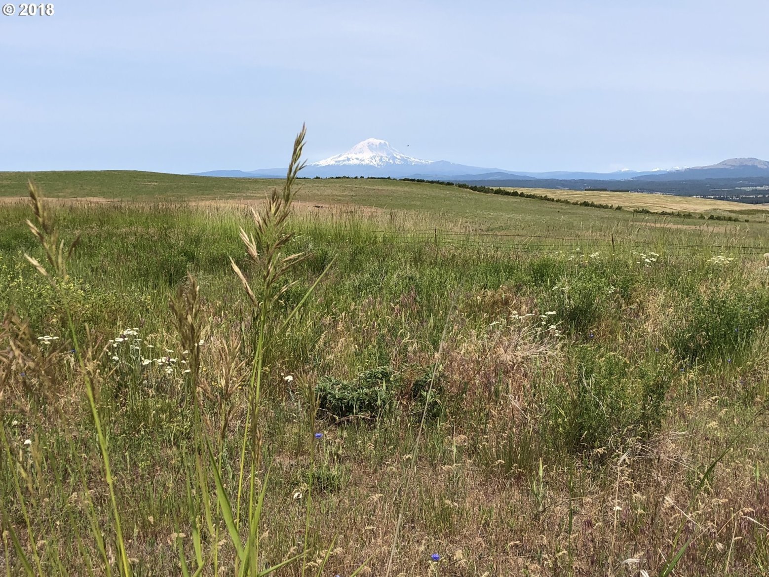 Shull Ranch Road, Unit 4B Centerville, WA 98613 - Photo 3 of 17 Gallery Image 3