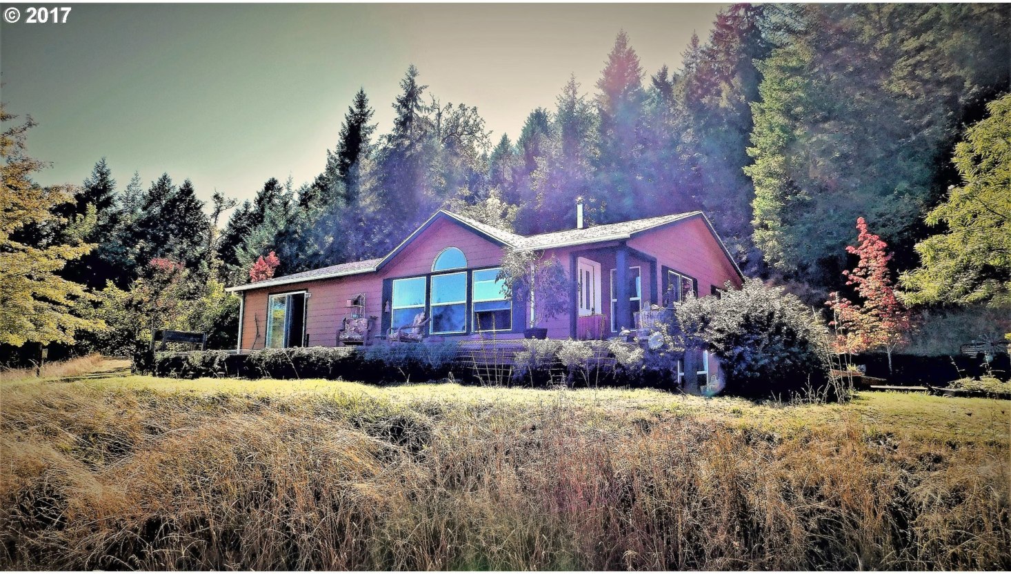 8161 Upper Olalla Road Winston, OR 97496 - Photo 9 of 32