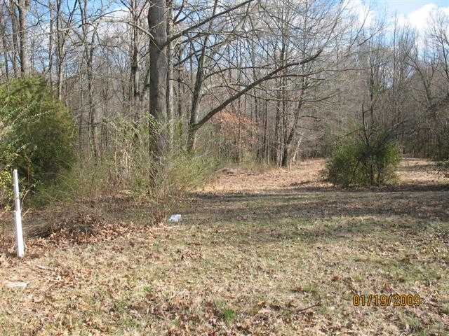 3786 Allen Road Memphis, TN 38128 - Photo 3 of 4 Gallery Image 3